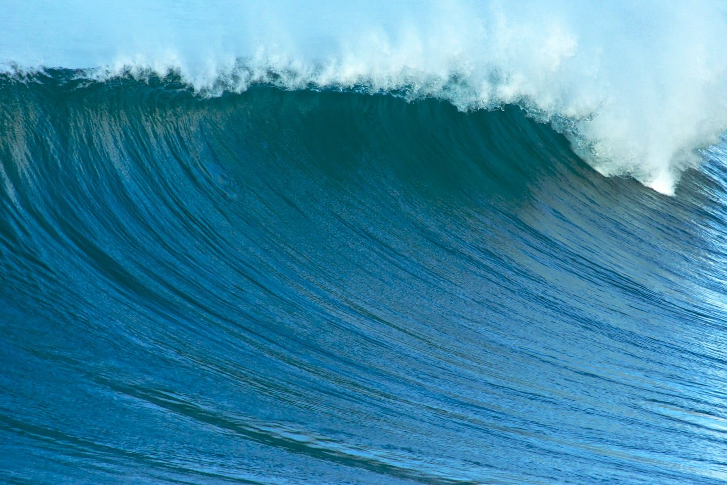 A powerful ocean wave curls with white foam at the crest.